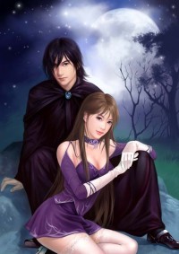 綺羅